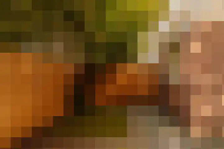 Rustenburgerstraat 133 2 Amsterdam thumbnail 7