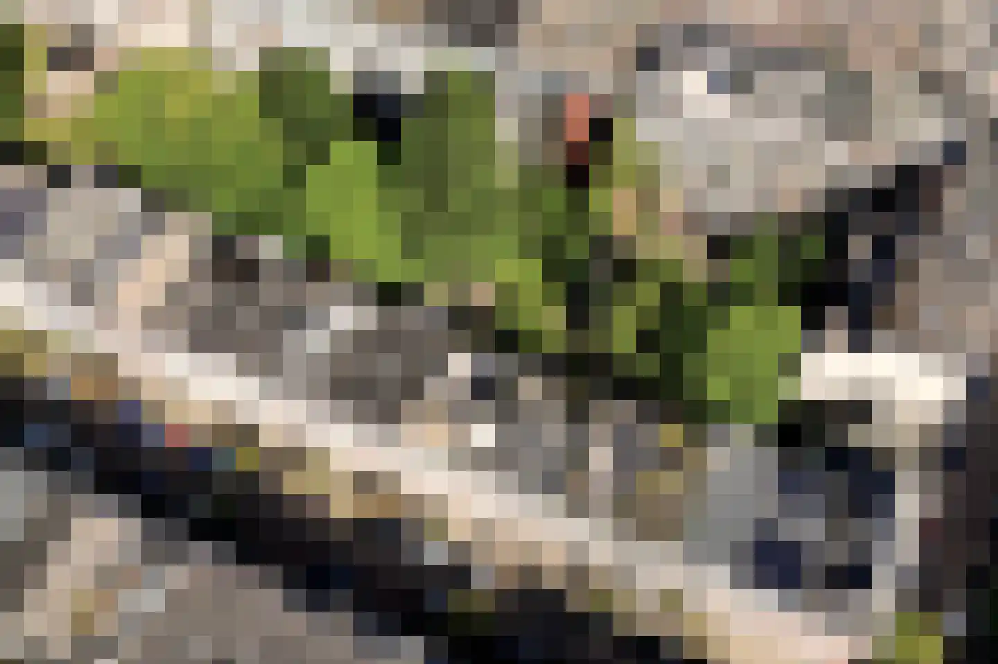 Rustenburgerstraat 260 2 Amsterdam thumbnail 45