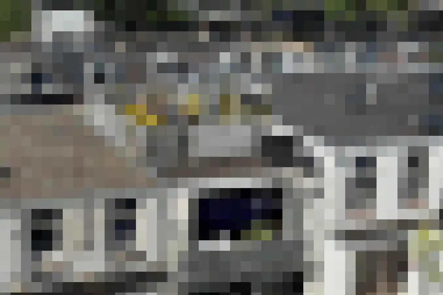Rustenburgerstraat 289 A Amsterdam thumbnail 35