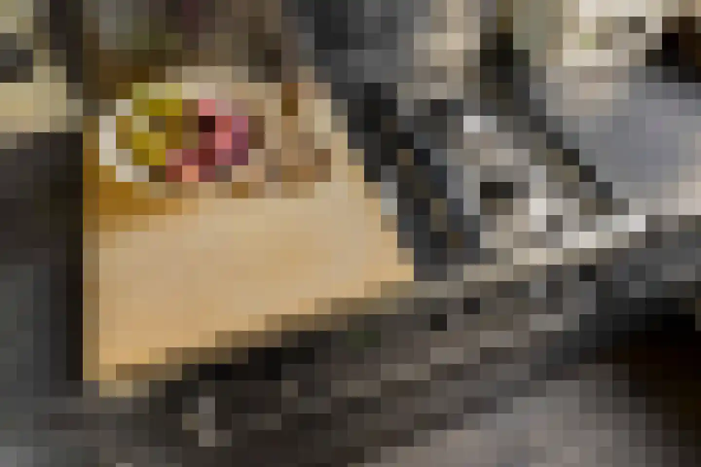 Rustenburgerstraat 300 E Amsterdam thumbnail 17