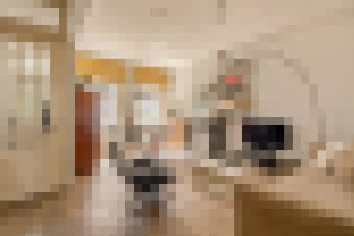 Rustenburgerstraat 300 E Amsterdam thumbnail 6