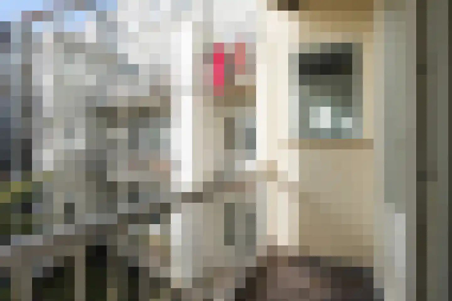 Rustenburgerstraat 323 2 Amsterdam thumbnail 11