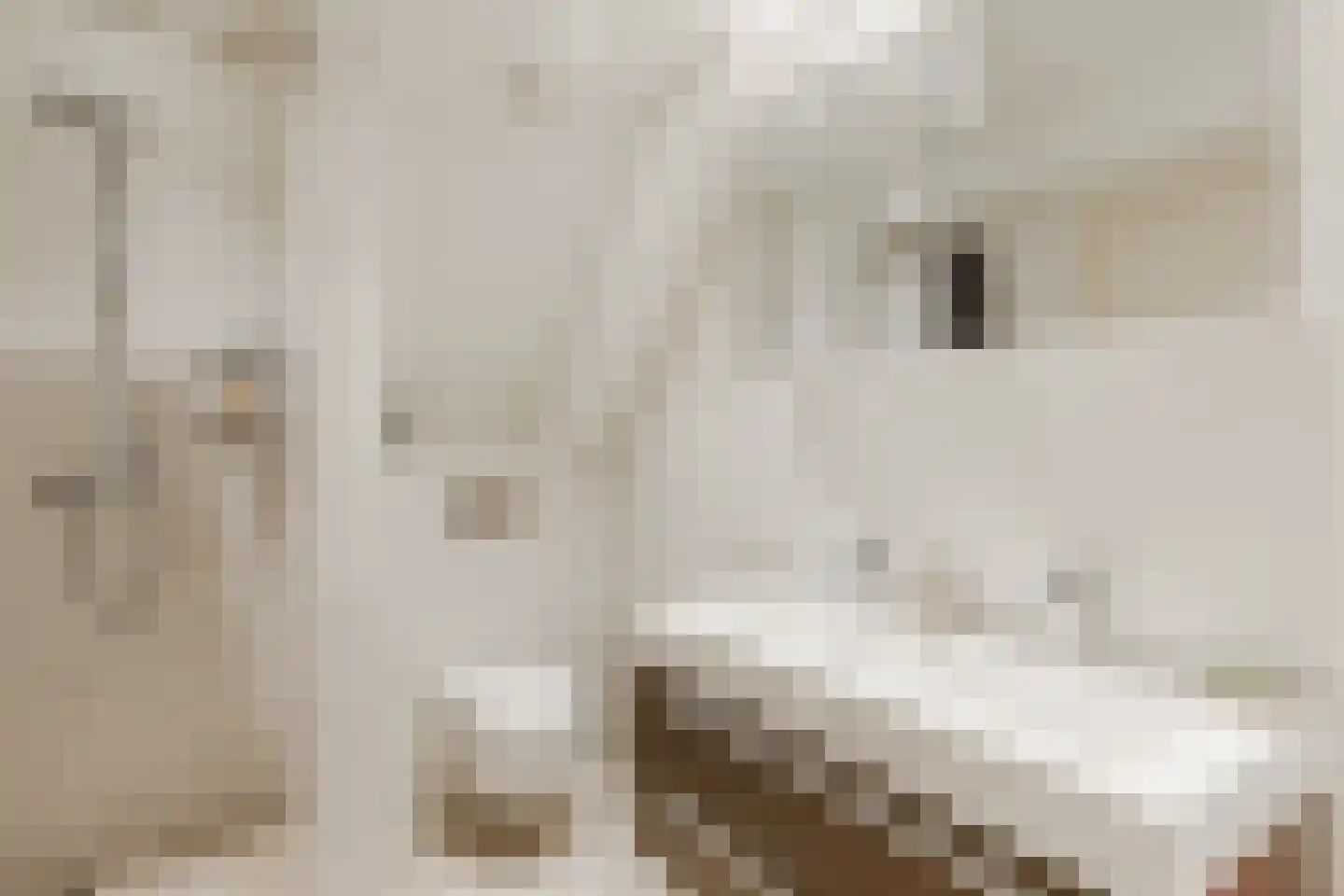 Rustenburgerstraat 356 1 Amsterdam thumbnail 19