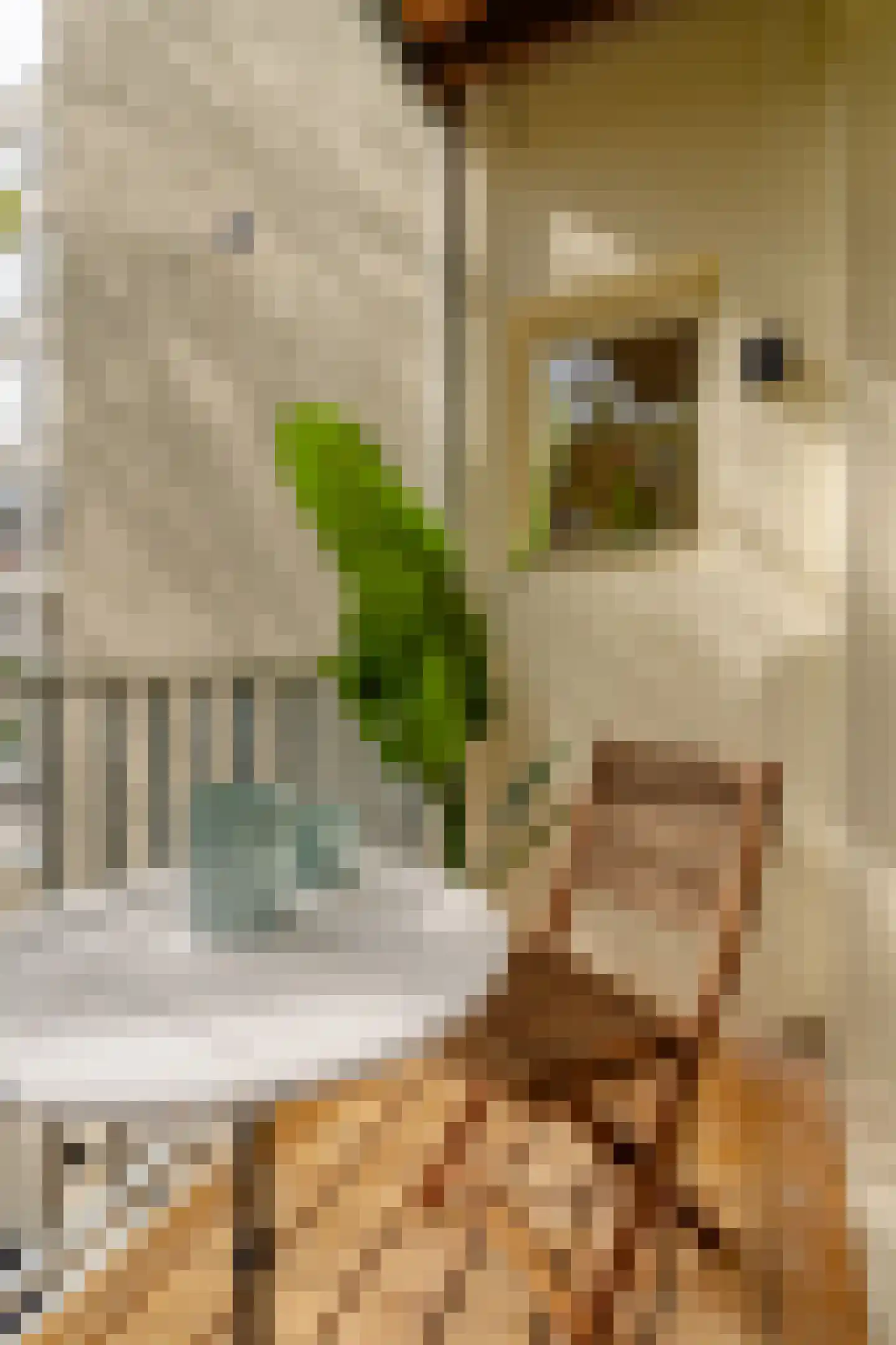 Rustenburgerstraat 37 C Amsterdam thumbnail 6