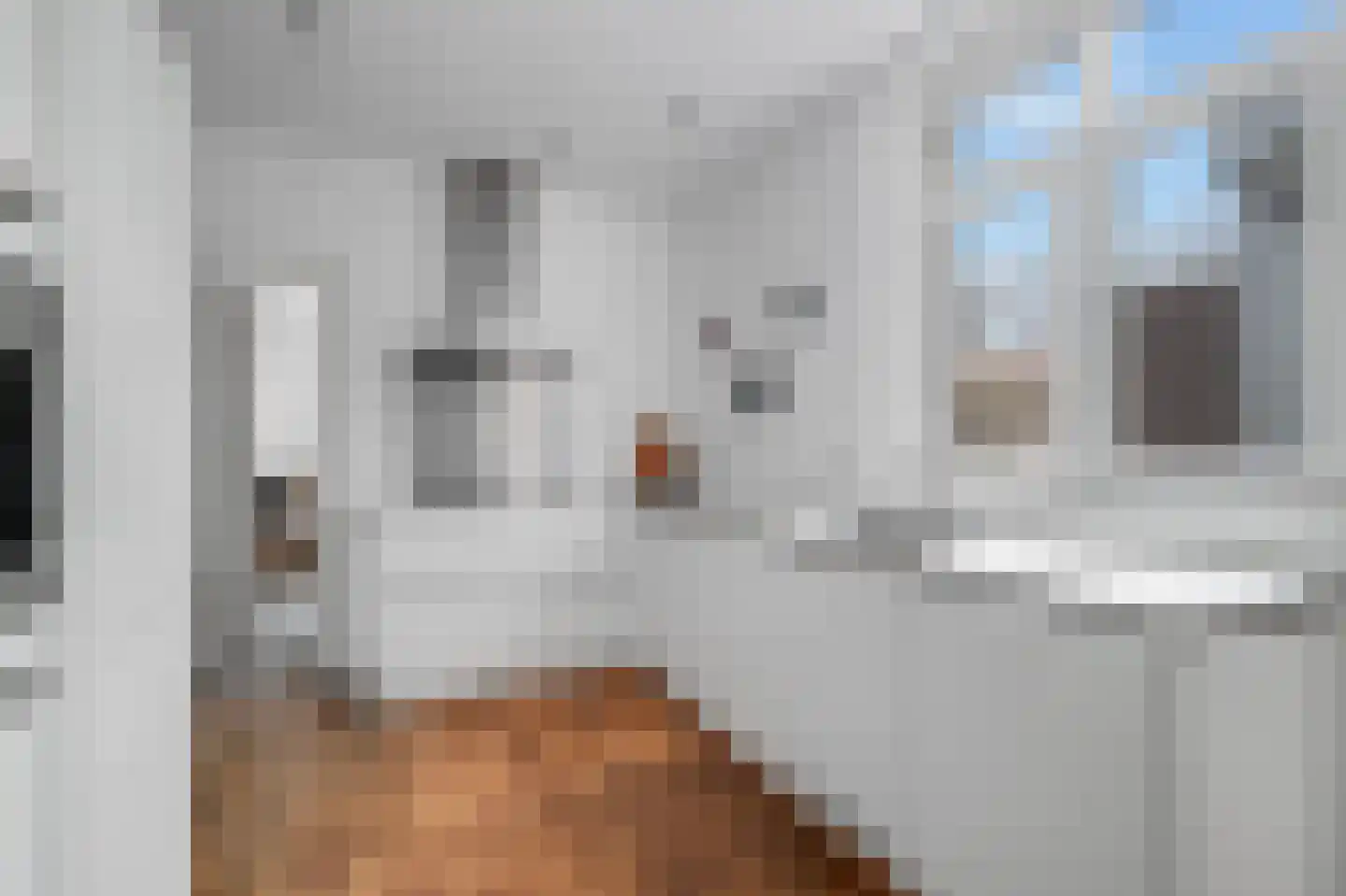 Rustenburgerstraat 372 1 Amsterdam thumbnail 10