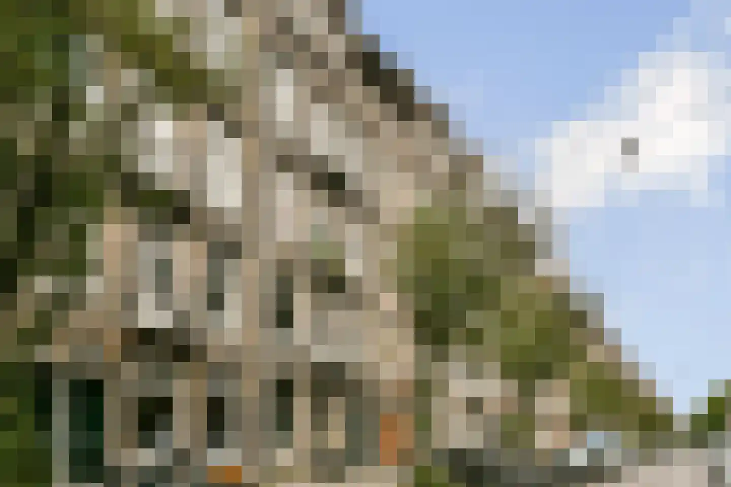 Rustenburgerstraat 372 2 Amsterdam thumbnail 17