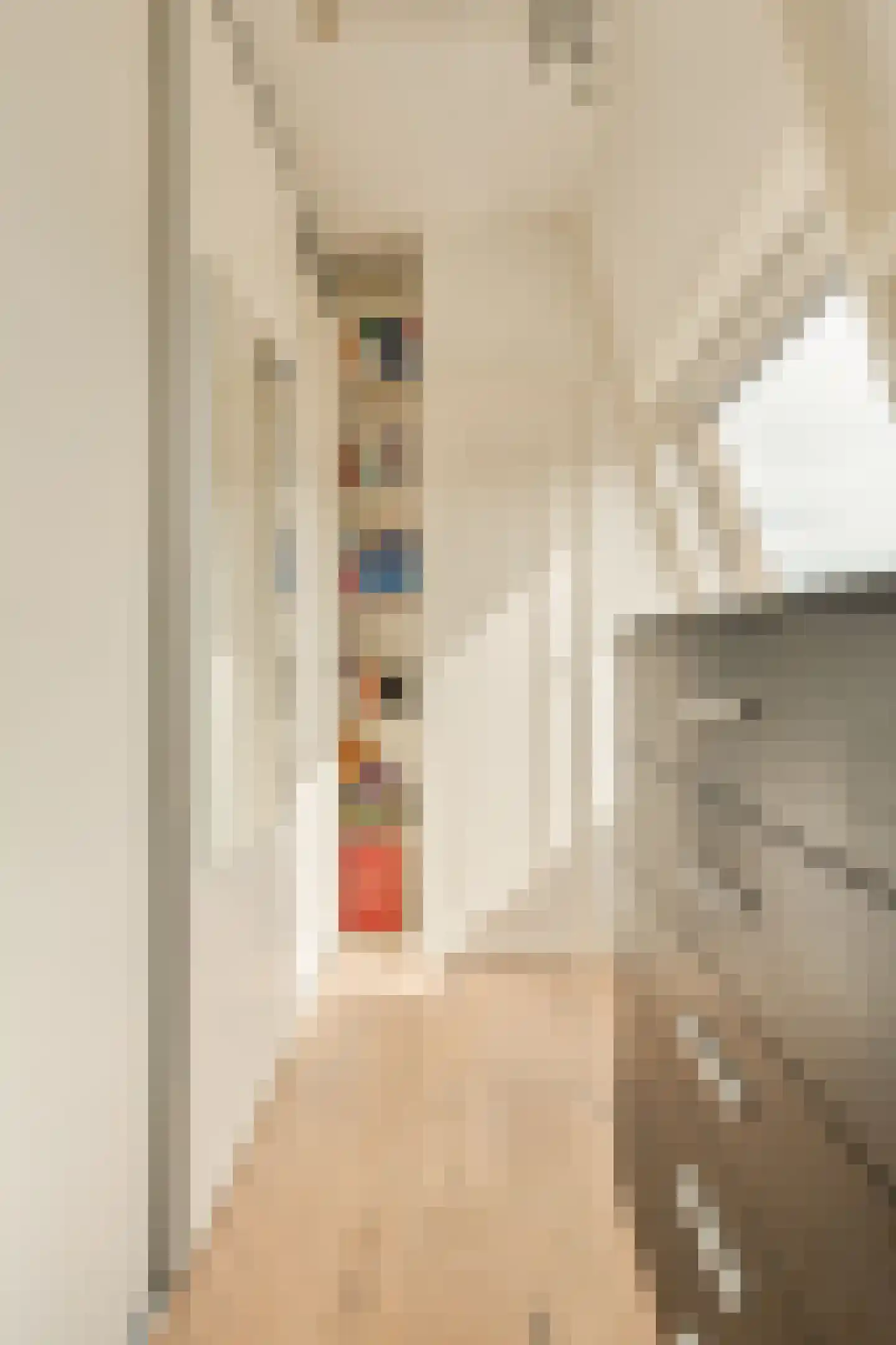 Rustenburgerstraat 386 D Amsterdam thumbnail 21