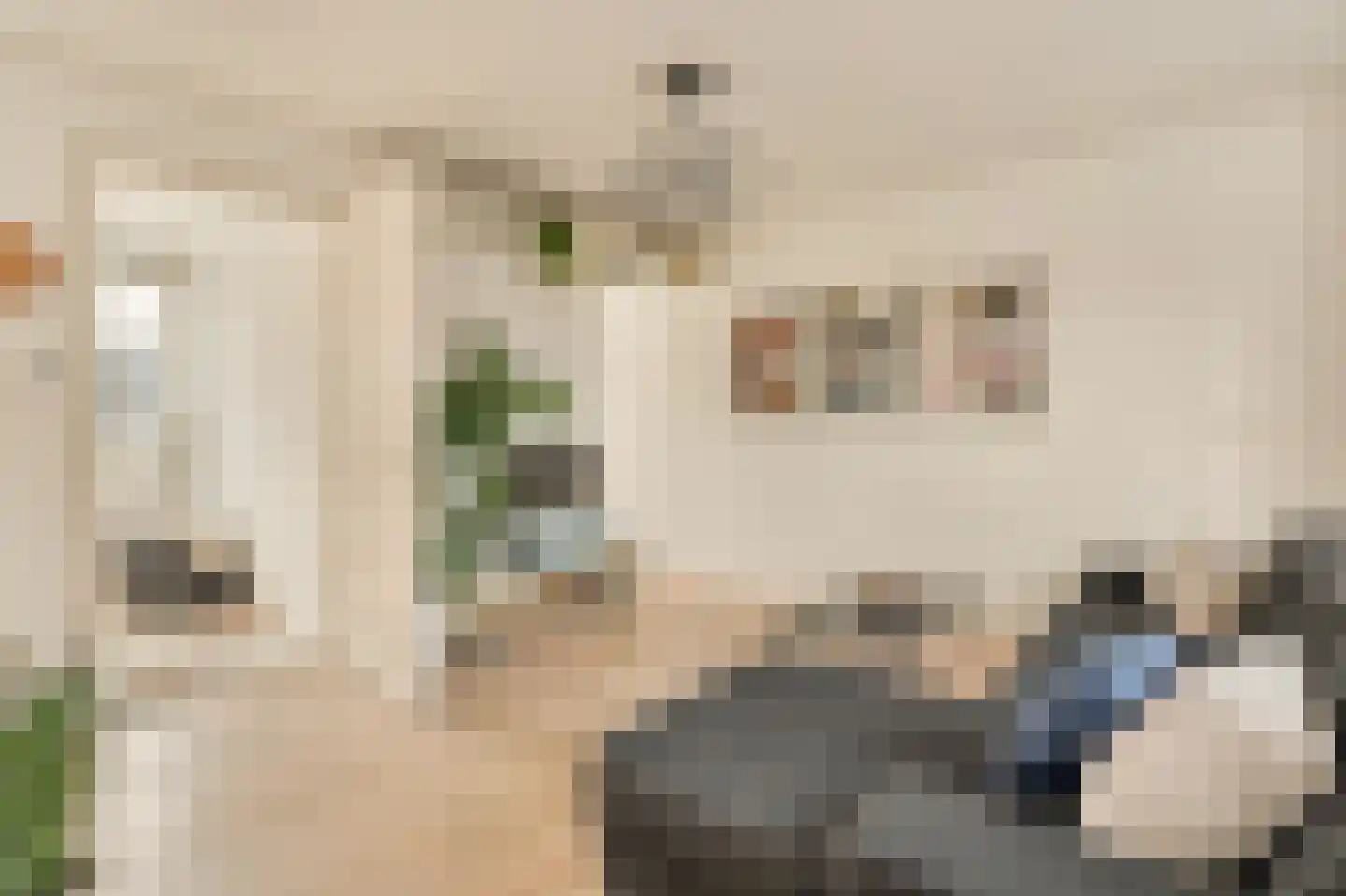 Rustenburgerstraat 386 D Amsterdam thumbnail 7