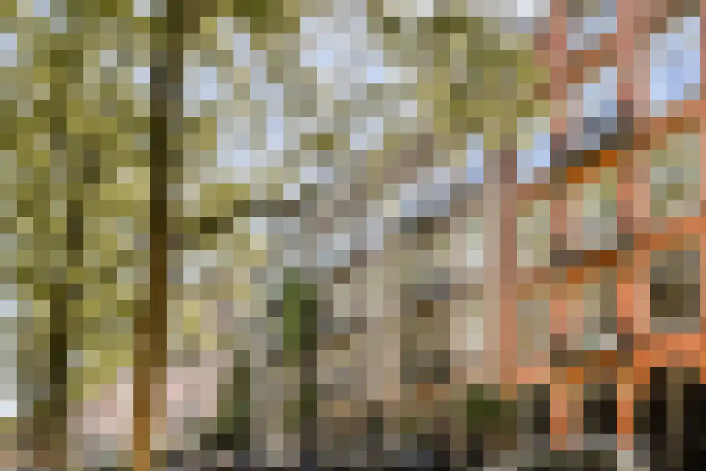 Rustenburgerstraat 393 3 Amsterdam thumbnail 30