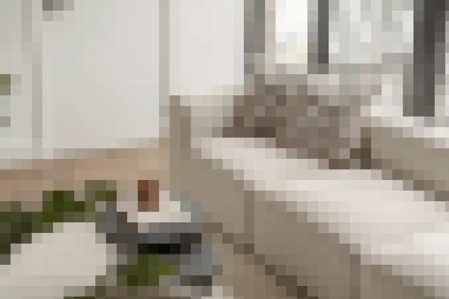 Rustenburgerstraat 455 4 Amsterdam thumbnail 4