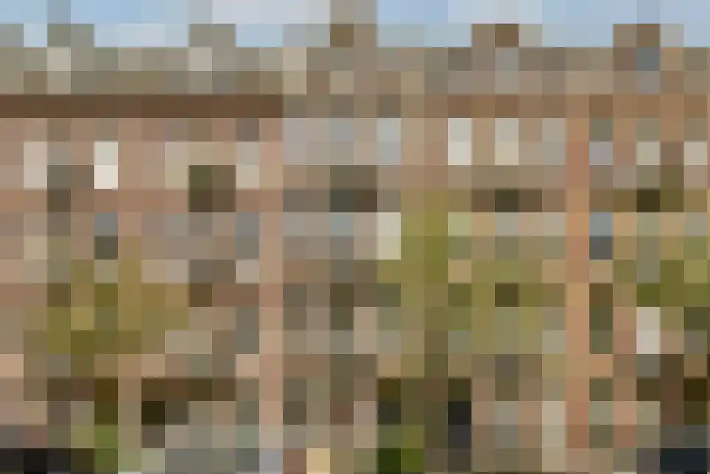 Rustenburgerstraat Amsterdam