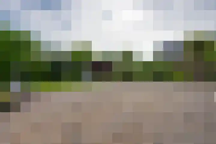 Rustenburgerweg 193 Heerhugowaard thumbnail 31