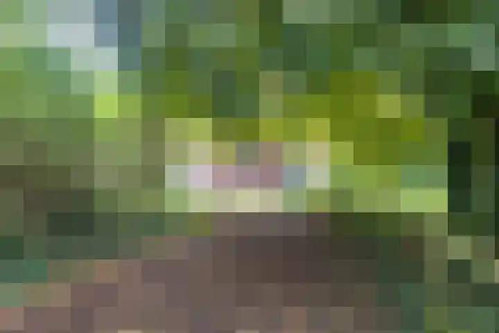 Rustenburgerweg 203 Heerhugowaard thumbnail 63
