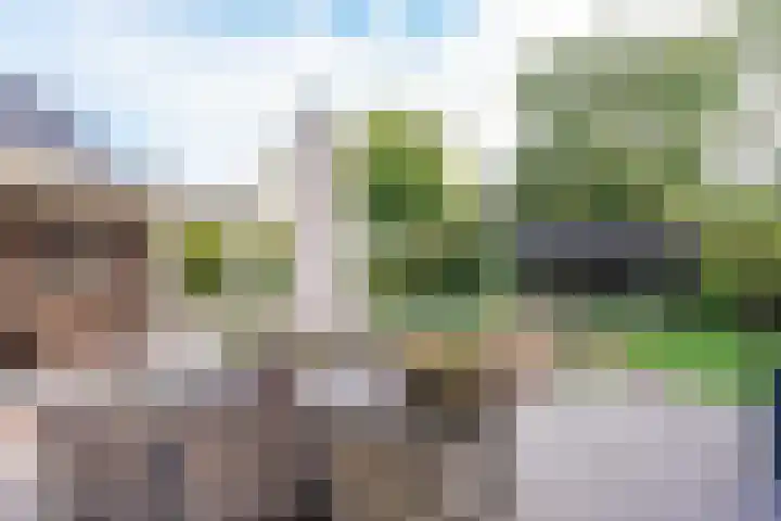 Rustenburgerweg 61 Heerhugowaard thumbnail 61