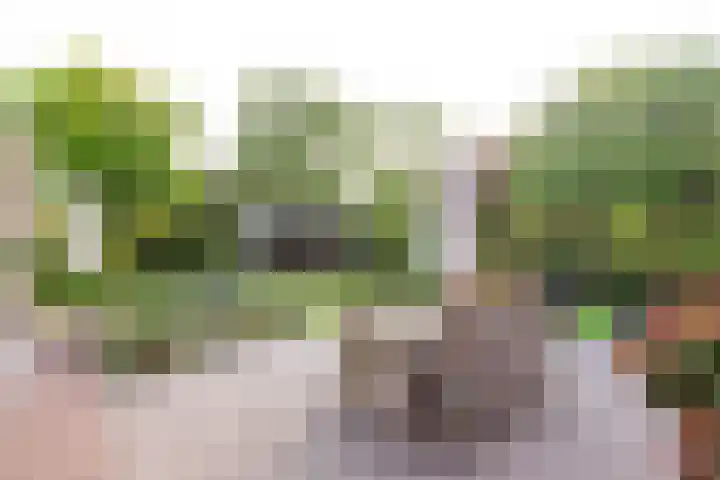Rustenburgerweg 61 Heerhugowaard thumbnail 62
