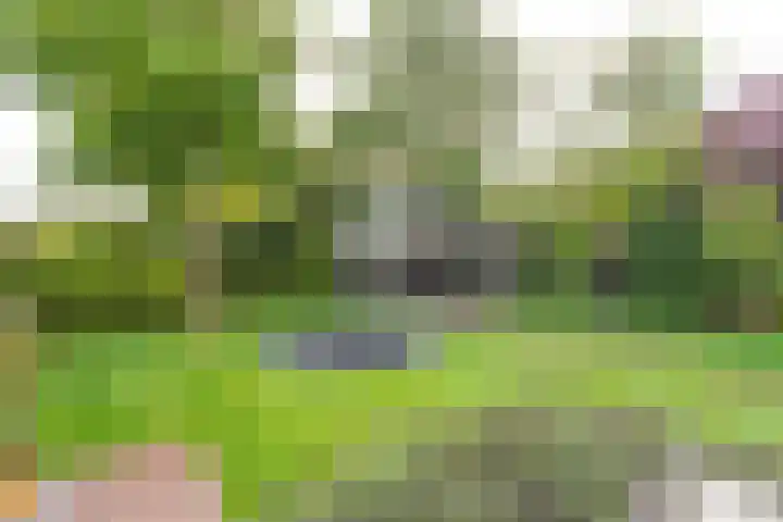 Rustenburgerweg 61 Heerhugowaard thumbnail 65