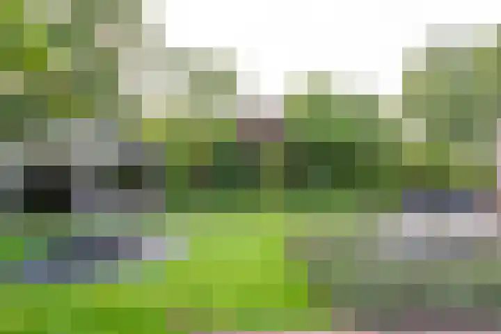 Rustenburgerweg 61 Heerhugowaard thumbnail 72