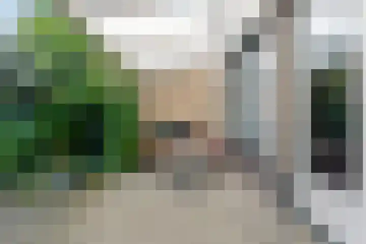Rustenburgh 20 Diemen thumbnail 11
