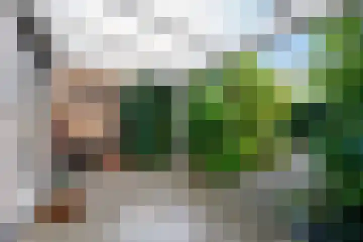 Rustenburgh 20 Diemen thumbnail 12
