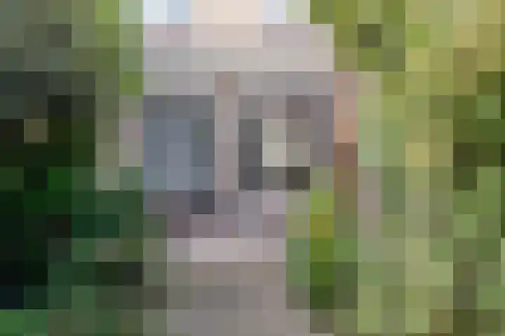 Rustenburgh 20 Diemen thumbnail 13