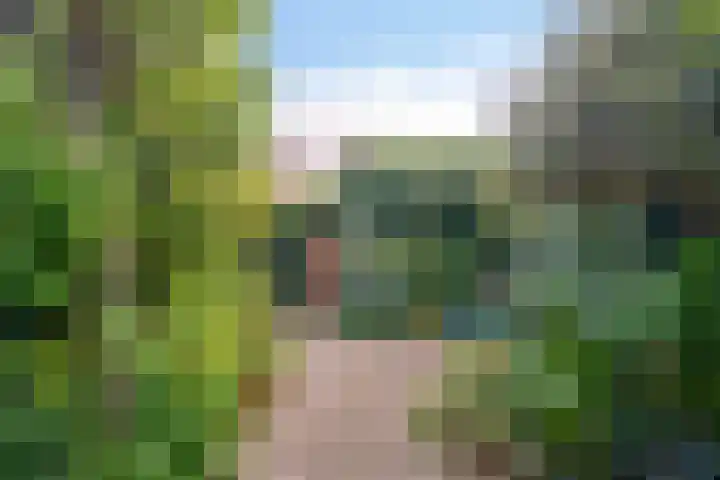 Rustenburgh 20 Diemen thumbnail 14