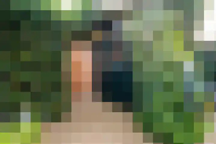 Rustenburgh 20 Diemen thumbnail 16