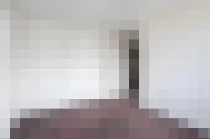Rustenburgh 20 Diemen thumbnail 19