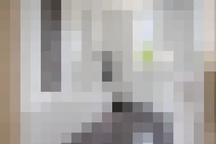 Rustenburgh 20 Diemen thumbnail 23