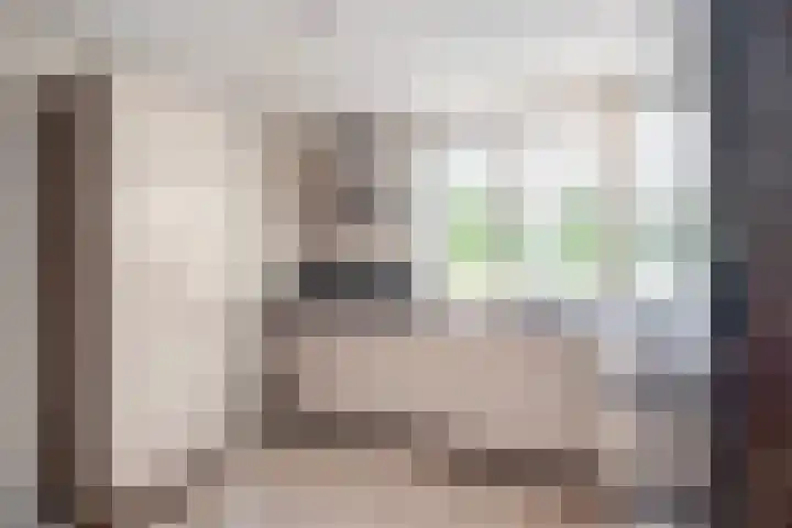 Rustenburgh 20 Diemen thumbnail 4