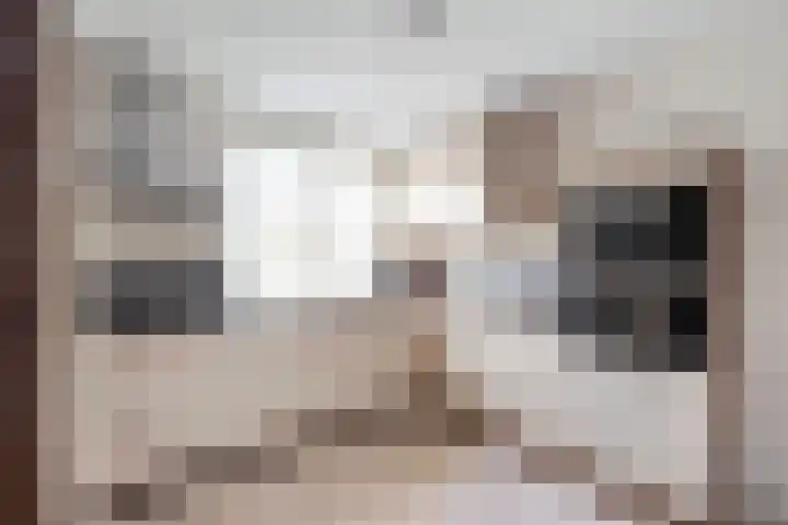 Rustenburgh 20 Diemen thumbnail 5