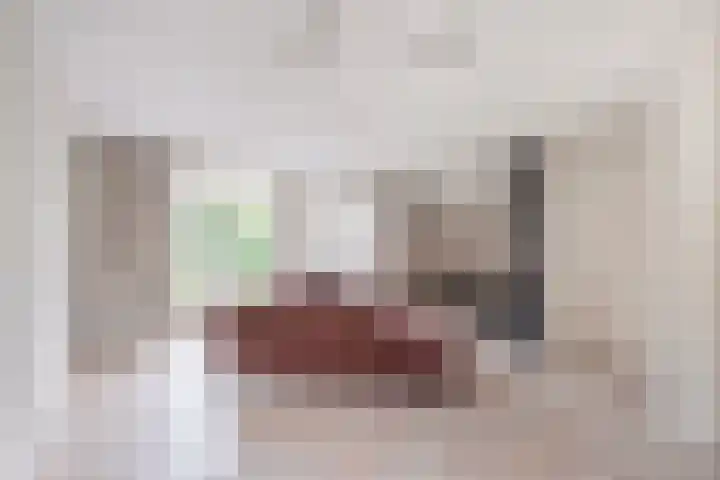 Rustenburgh 20 Diemen thumbnail 6