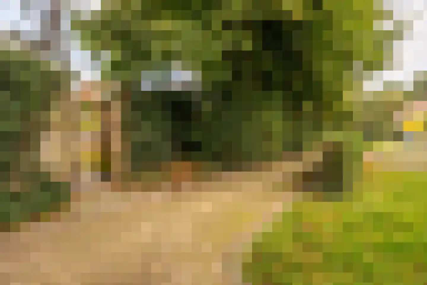 Rustenburgherweg 7 Bloemendaal thumbnail 21