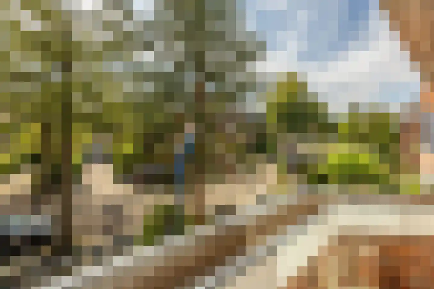Rustenburgherweg 7 Bloemendaal thumbnail 28