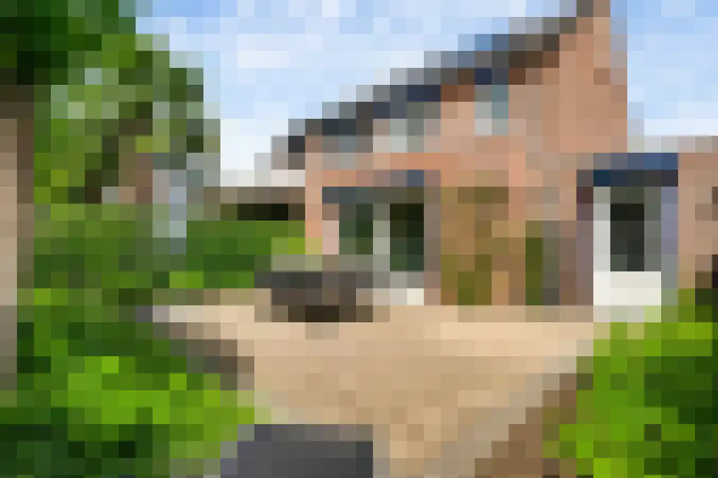 Rustenburgstraat 12 Bunde thumbnail 4