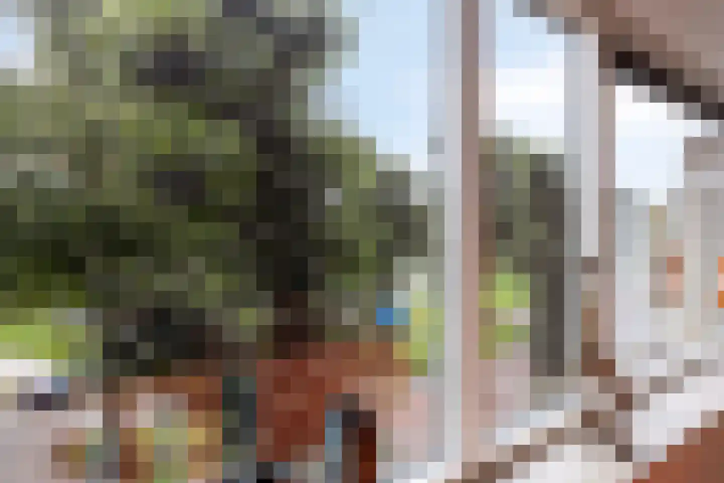 Rustenburgstraat 20 Apeldoorn thumbnail 11