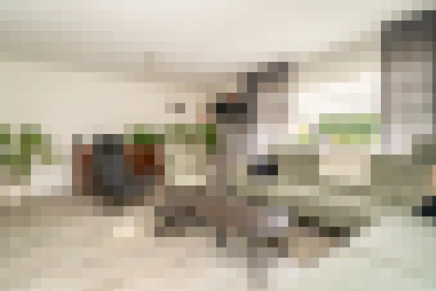 Rustenburgstraat 25 Tilburg thumbnail 17