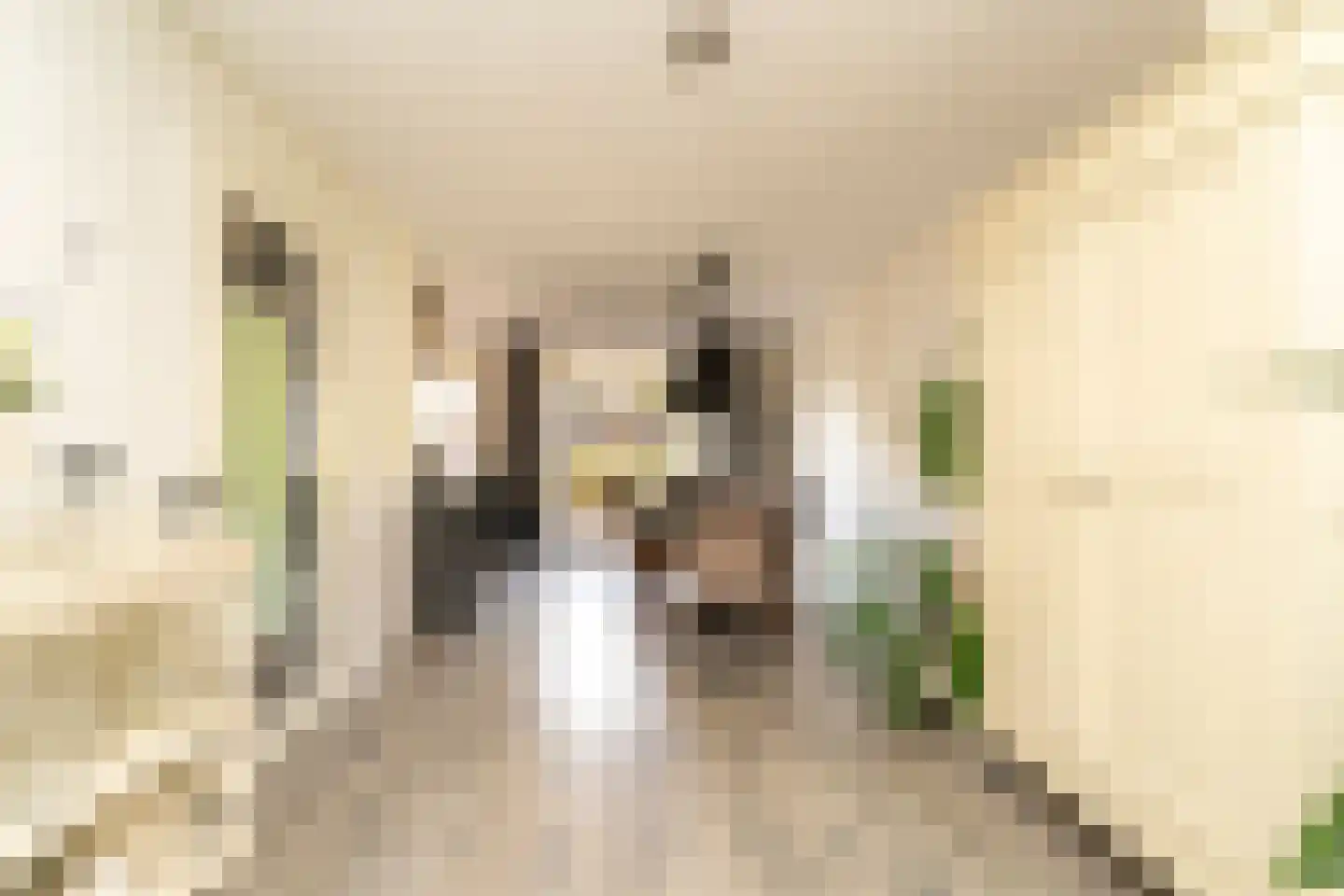 Rustenburgstraat 25 Tilburg thumbnail 20