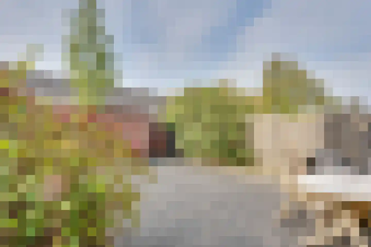 Rustenburgstraat 34 Middelburg thumbnail 56