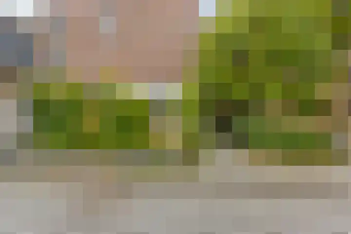 Rustenburgstraat 56 Apeldoorn thumbnail 26