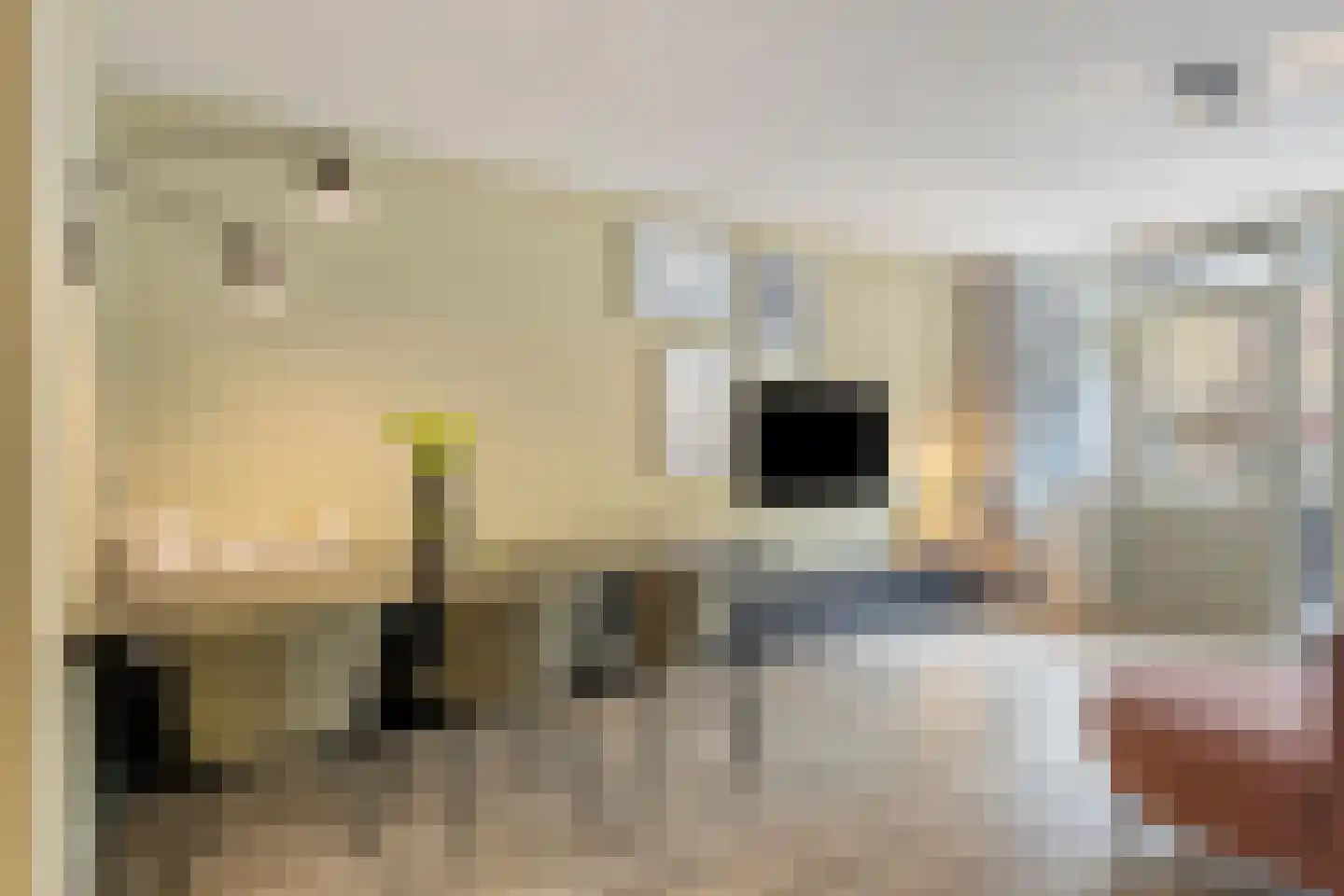 Rustenburgstraat 64 Apeldoorn thumbnail 11