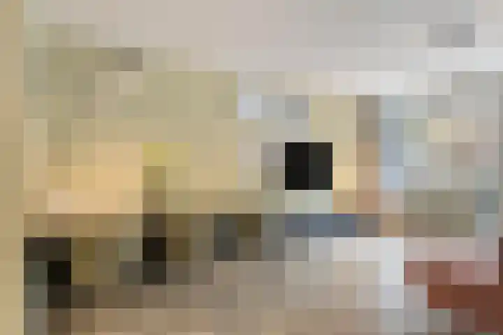 Rustenburgstraat 64 Apeldoorn thumbnail 11