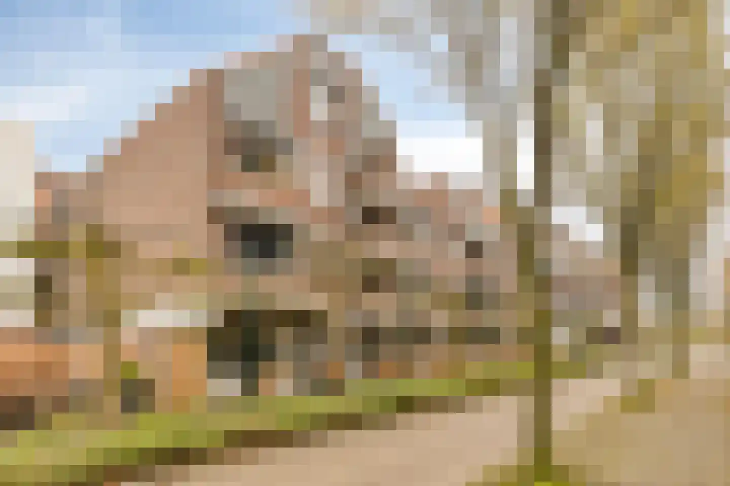 Rustenburgstraat 64 Apeldoorn thumbnail 36