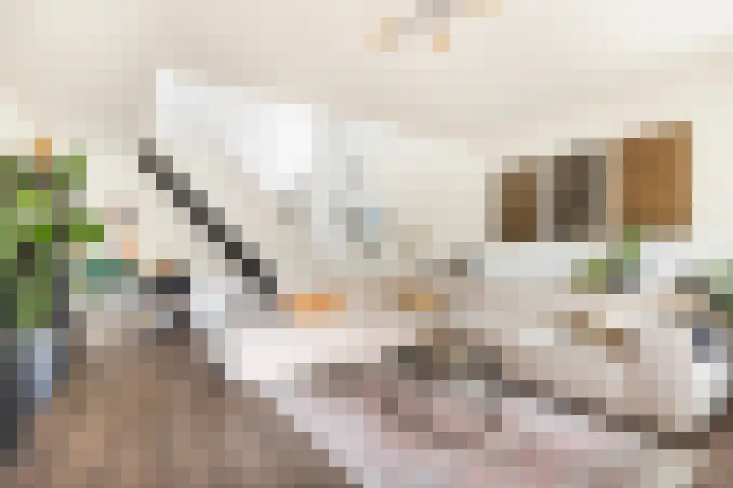Rustenburgstraat 86 Apeldoorn thumbnail 10