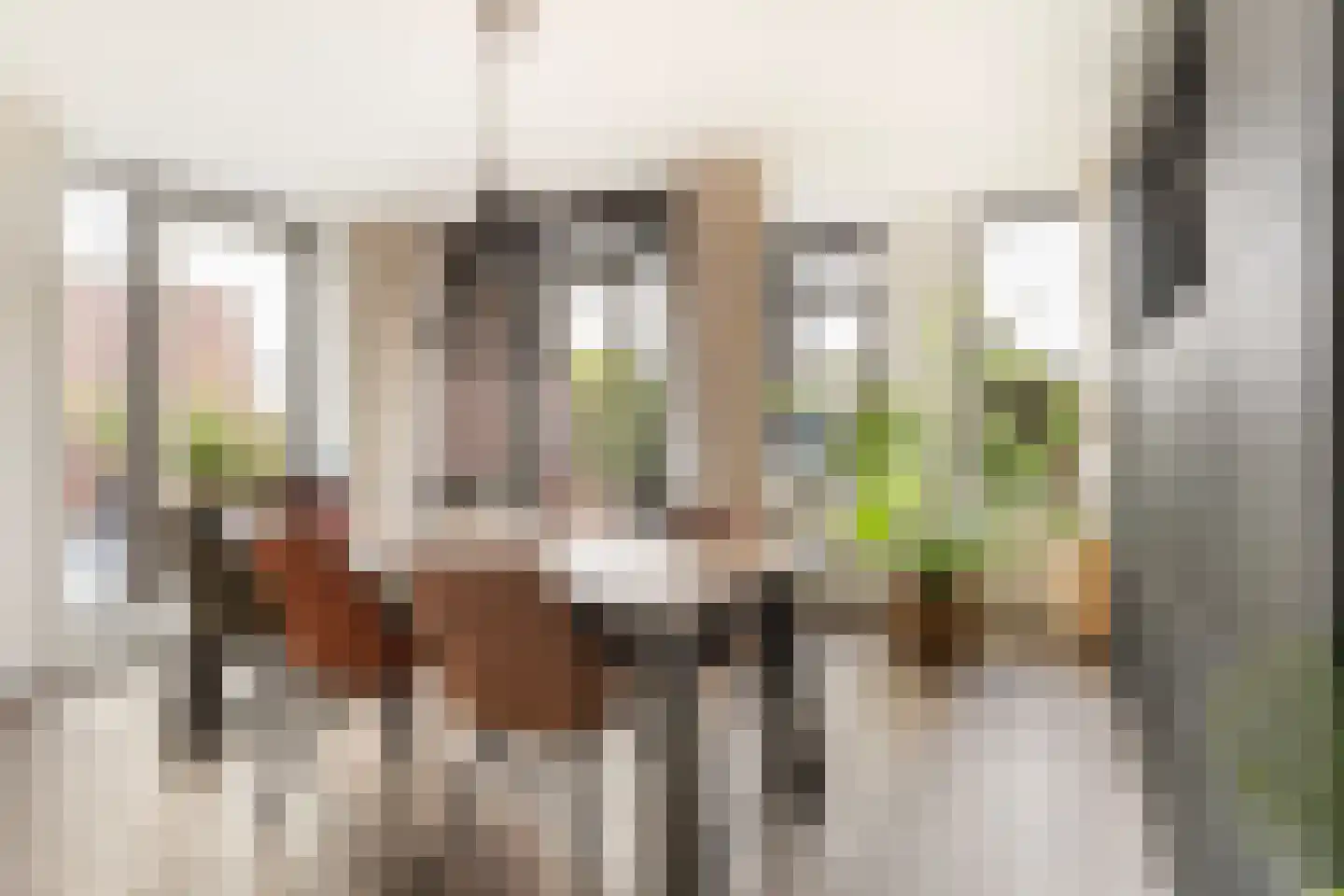 Rustenburgstraat 86 Apeldoorn thumbnail 21