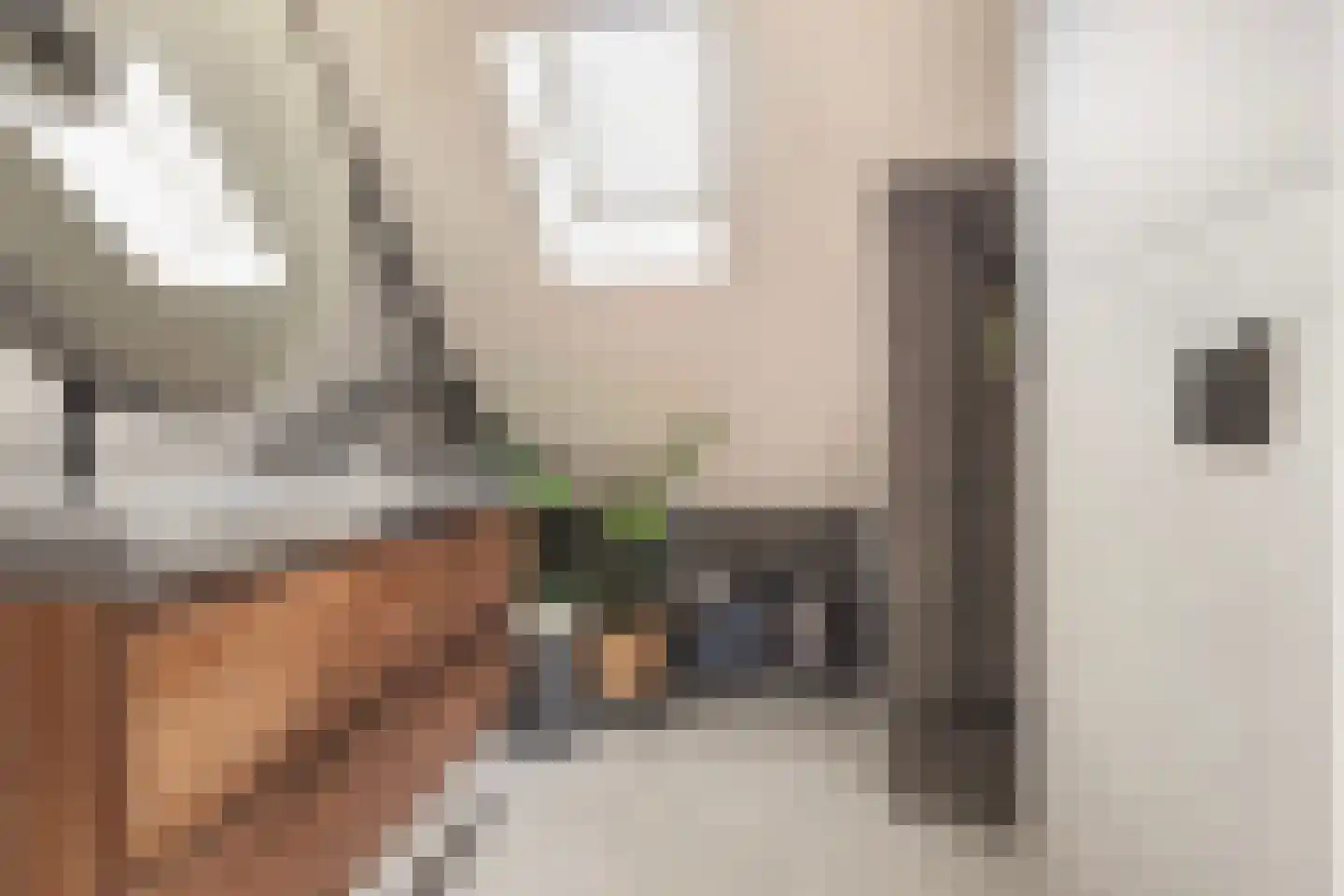 Rustenburgstraat 86 Apeldoorn thumbnail 30