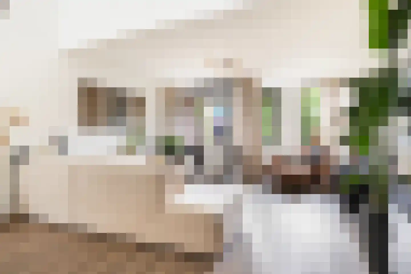 Rustenburgstraat 86 Apeldoorn thumbnail 5