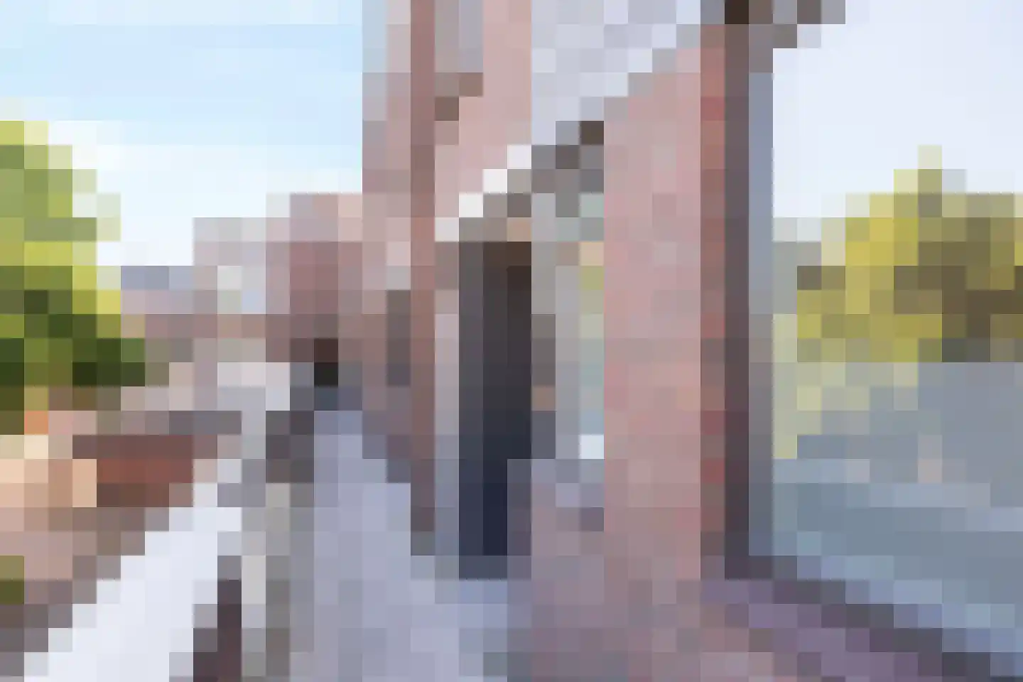 Rustenburgstraat 96 Apeldoorn thumbnail 8