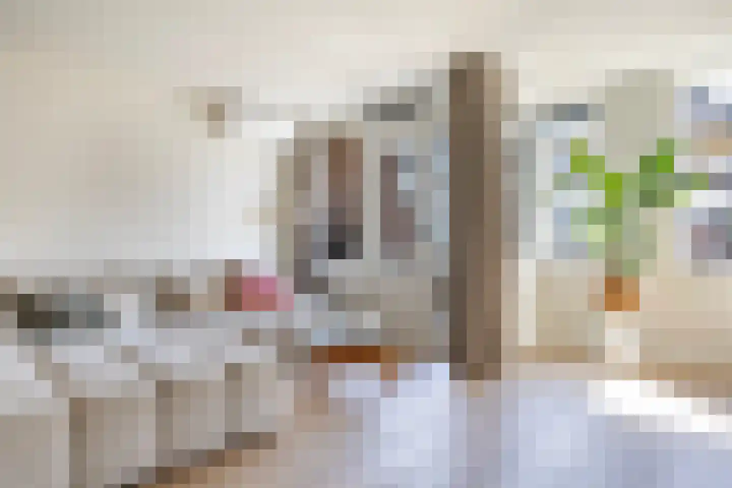 Rustenburgstraat 98 Apeldoorn thumbnail 20
