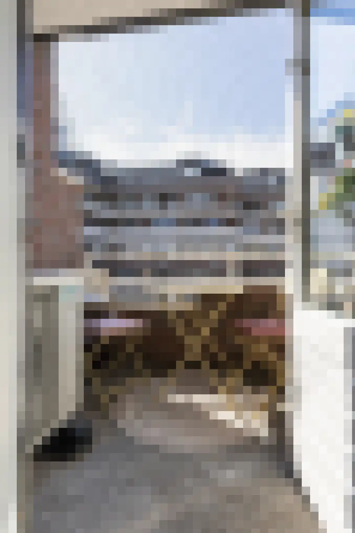 Rustenburgstraat 98 Apeldoorn thumbnail 21