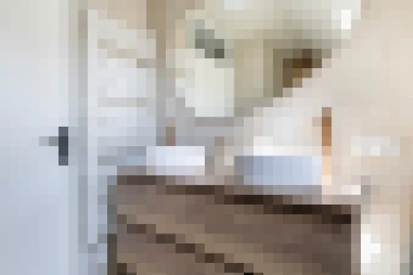 Rustenburgstraat 98 Apeldoorn thumbnail 33